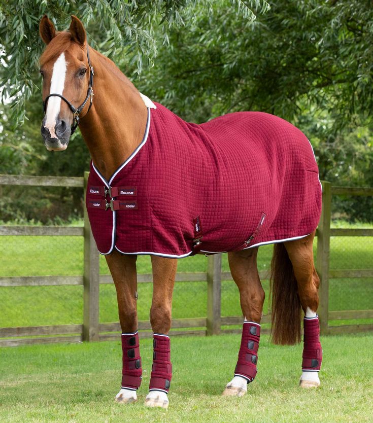 Durable horse rug with leg wraps for complete protection – perfect companion to leather horse saddles.