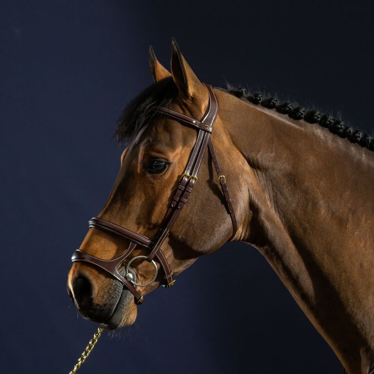 Elegant horse bridle with matching tack – complements leather horse saddles for a complete riding set.