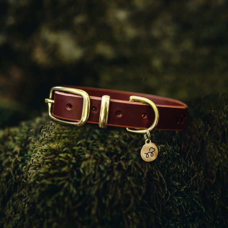 Our leather dog collars are bound to get those…