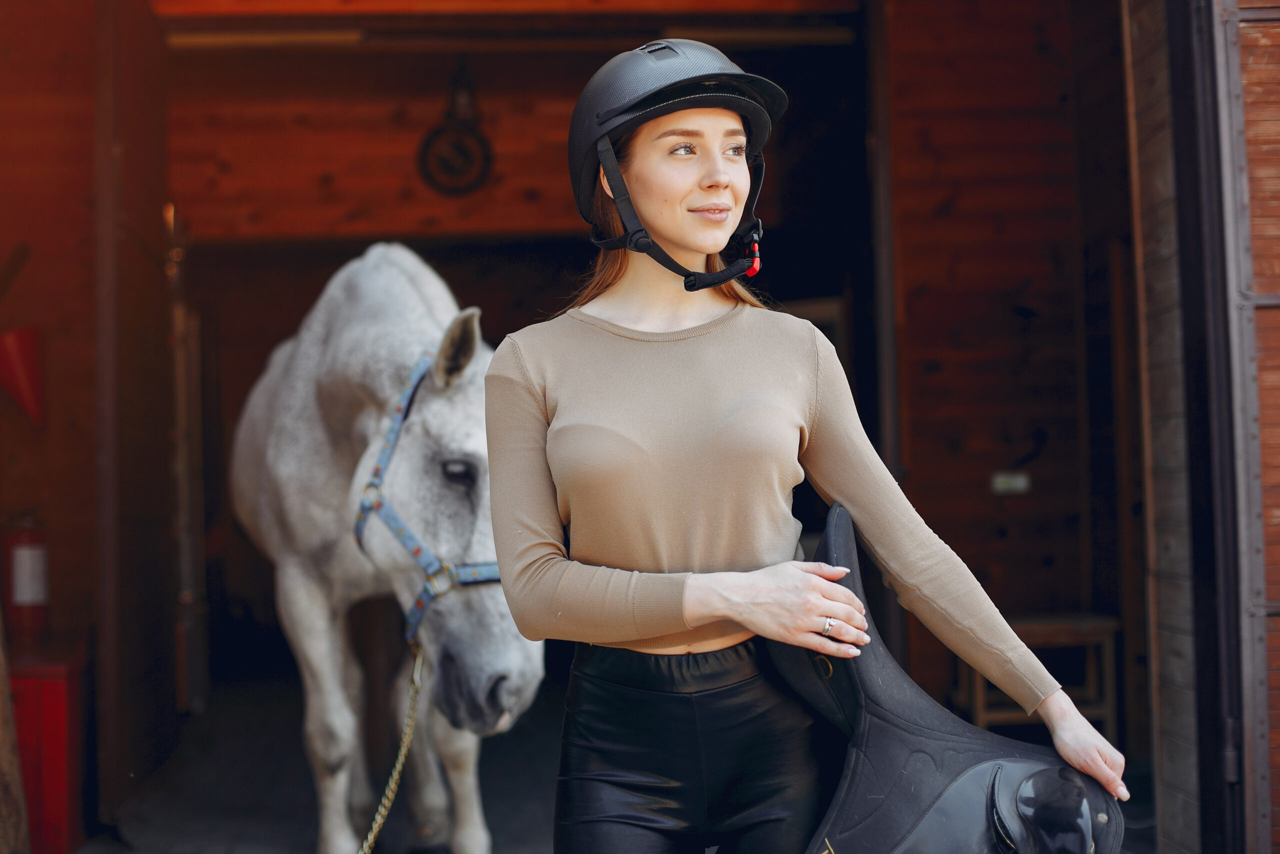 Read more about the article Top 7 Signs of a High-Quality Leather Saddle