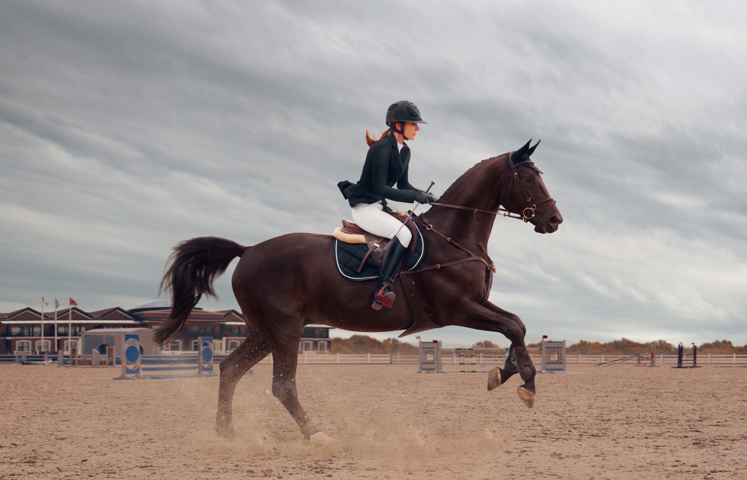 Read more about the article Why American Riders Are Falling in Love with Indian Leather Saddles